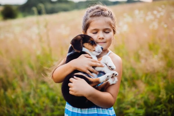 Amar a las mascotas hace parte de los valores familiares básicos