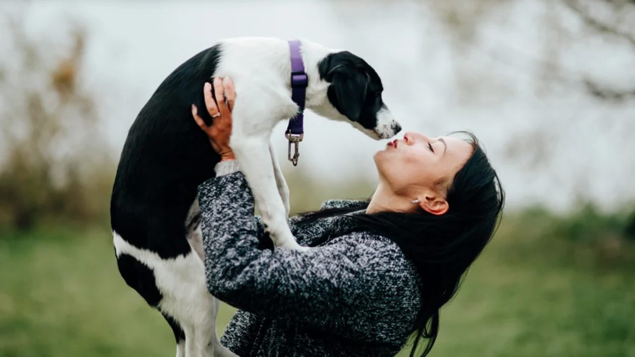 Valores familiares: 3 beneficios de promover el amor por las mascotas